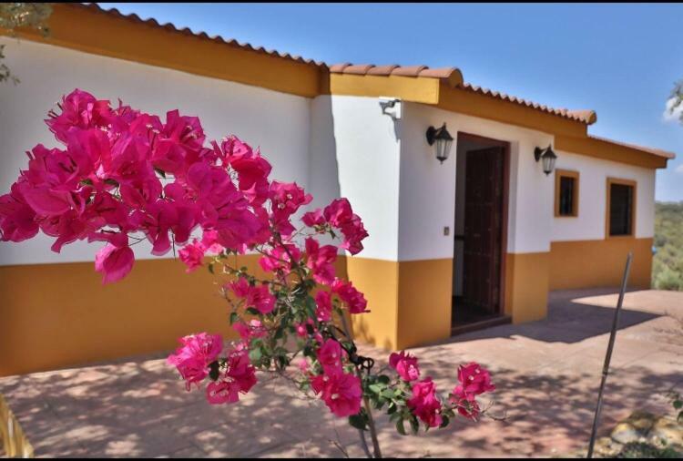 Finca la cigarra Hostal Almodóvar del Río Exterior foto